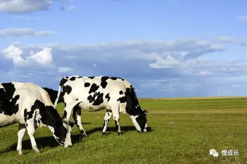 无奈告别母乳，我又回到了给娃抢奶粉的日子……