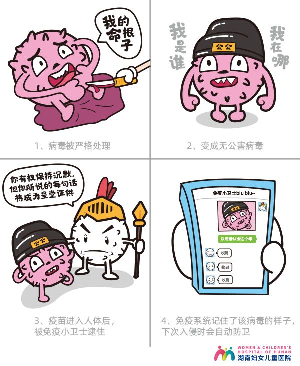 每个女人都要打HPV疫苗吗？一文终结你的所有疑问