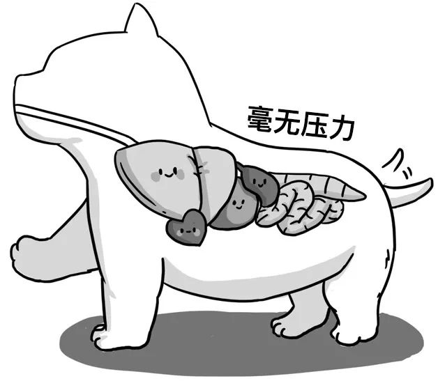 漫画类科普,漫画科普