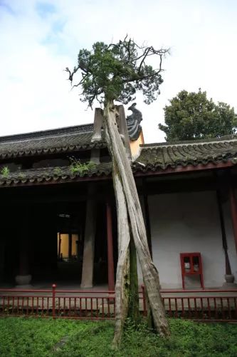 浙江省金华市太平天国侍王府,金华太平天国侍王府好玩之处