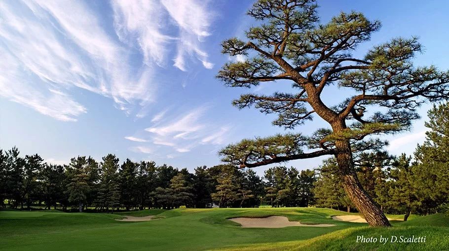 2024年亚洲百佳高尔夫球场,2024亚洲百佳球场