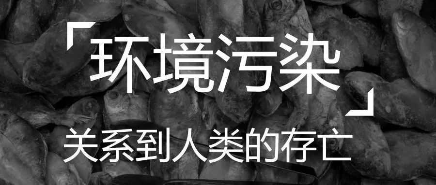 日本住宅垃圾场,日本垃圾房竟然这么干净