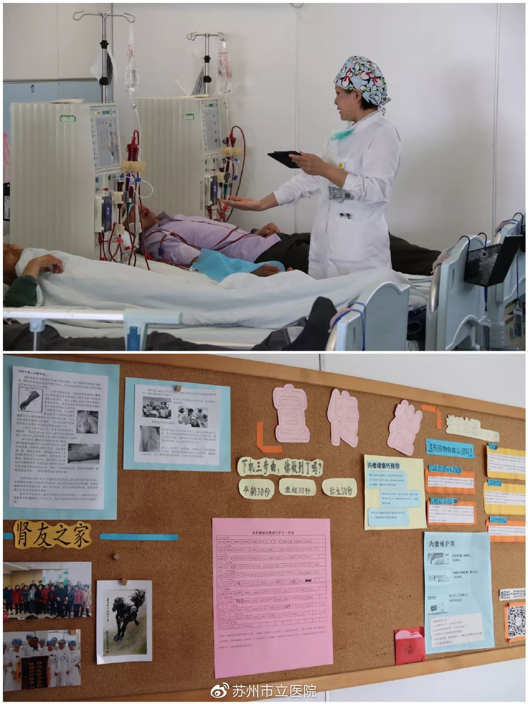 栽下梧桐树只为引来你|苏州市立医院心血管内科、肾内科公开招聘啦!