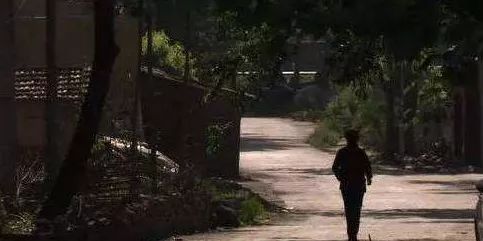 霸道村官是如何炼成的,辣评基层干部