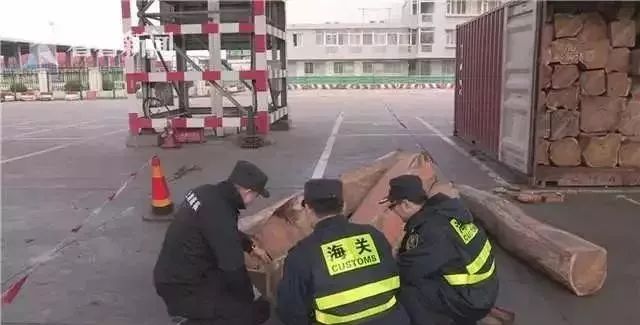 厦门特大洋酒走私案,厦门海关抓获走私洋酒