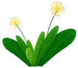 北大培文2022年研学,北大培文德育视频