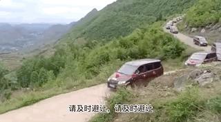 拼多多卖二手车,特斯拉在拼多多上卖车