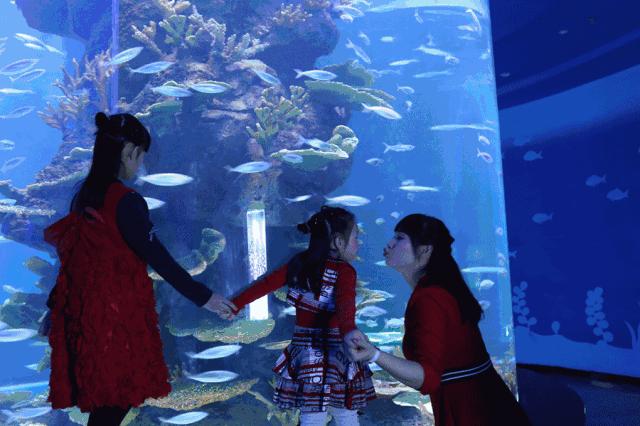 粽情端午节祈福欢乐游|这个端午南宁给您N种玩法！