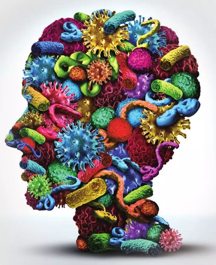 以人类身份生活的动物们,以人类血肉为食的生物