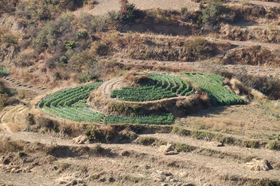 【人文宾川】这里，对水的敬仰有一种特别的方式——雄鲁么水阁