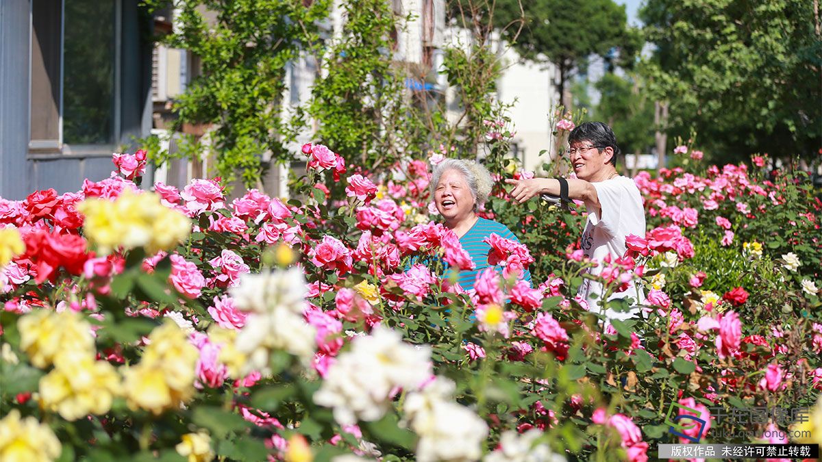 住宅区物业管家,老小区物业管家