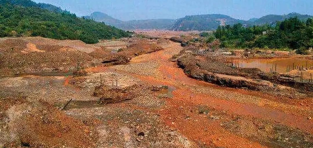 拿什么拯救我的你,拿什么拯救我的植物