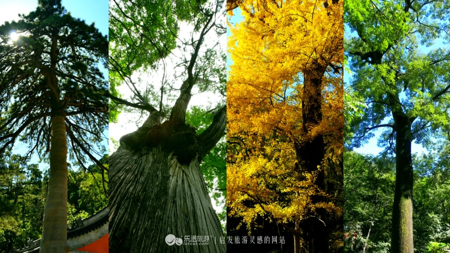 上方山国家森林公园攻略,上方山森林国家森林公园周边攻略