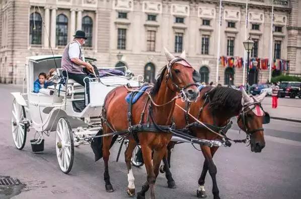 游东欧,东欧旅游最值得去的地方