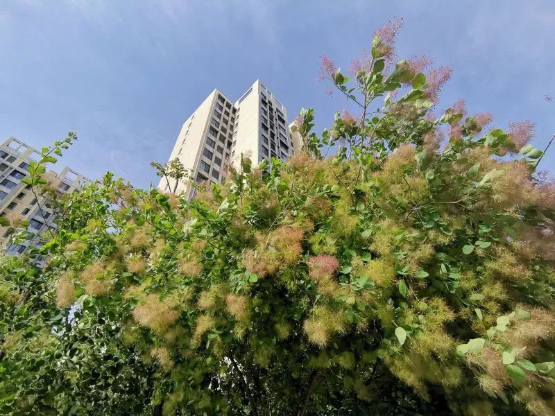 开发区的美,开发区最美风景