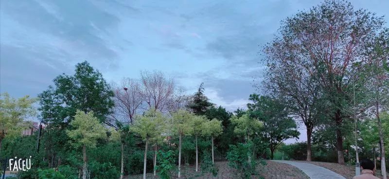 开发区的美,开发区最美风景