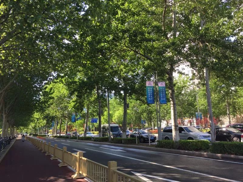 开发区的美,开发区最美风景