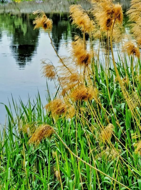 开发区的美,开发区最美风景