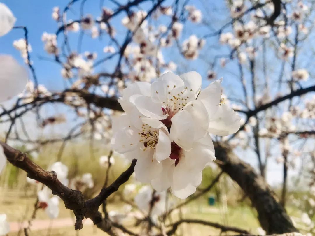 开发区的美,开发区最美风景