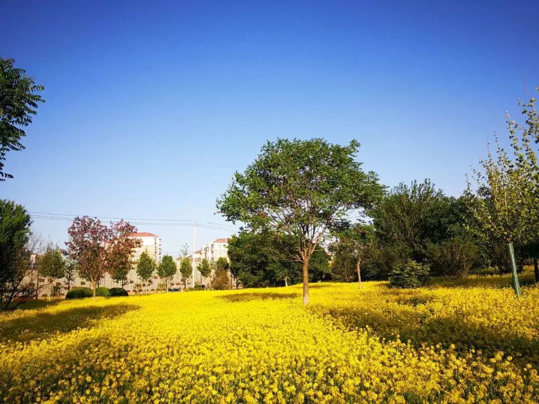 开发区的美,开发区最美风景