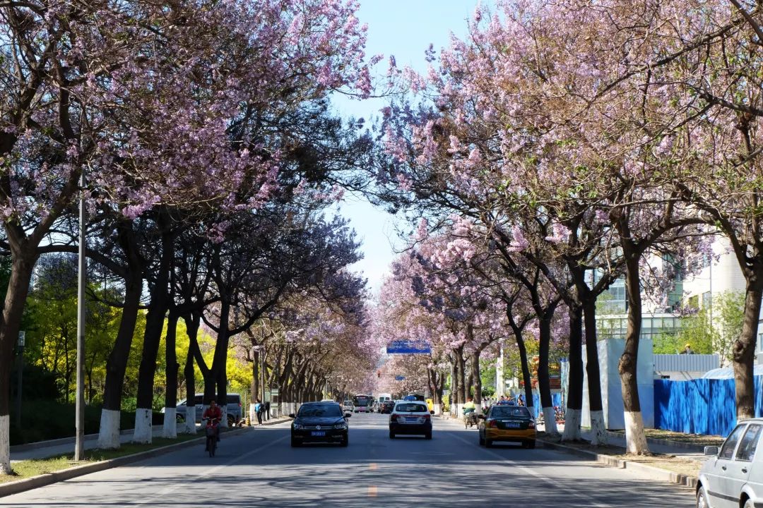 开发区的美,开发区最美风景