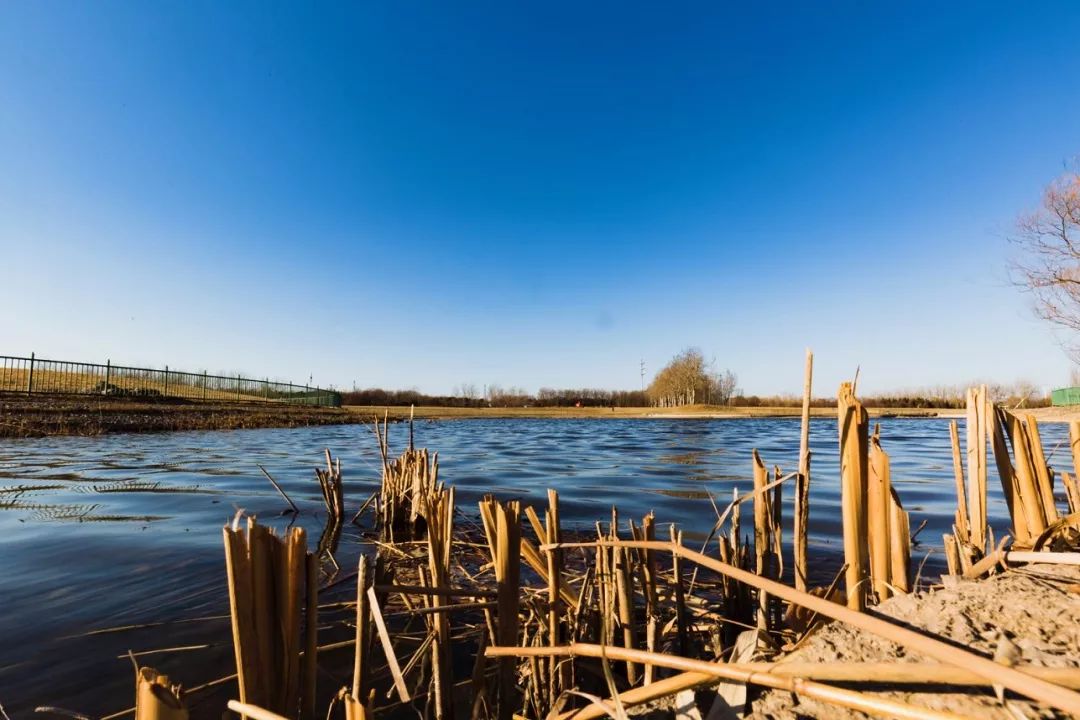 开发区的美,开发区最美风景