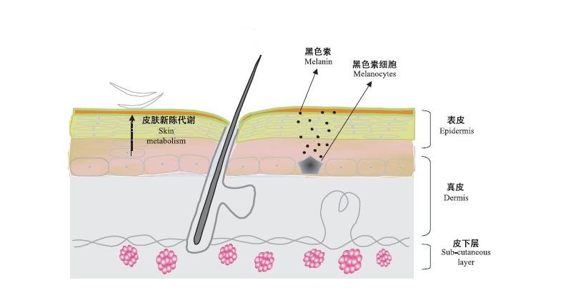 疤痕彻底消失新技术,疤痕淡化修复新技术