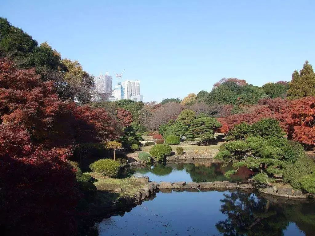 日本驱蚊好物,夏天灭蚊必备好物