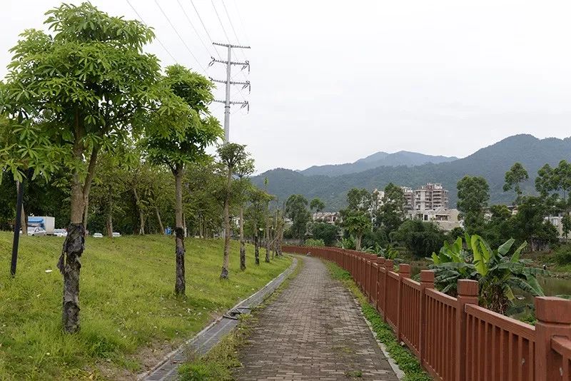 闽侯上街将再添一条生态景观路,一起去看看