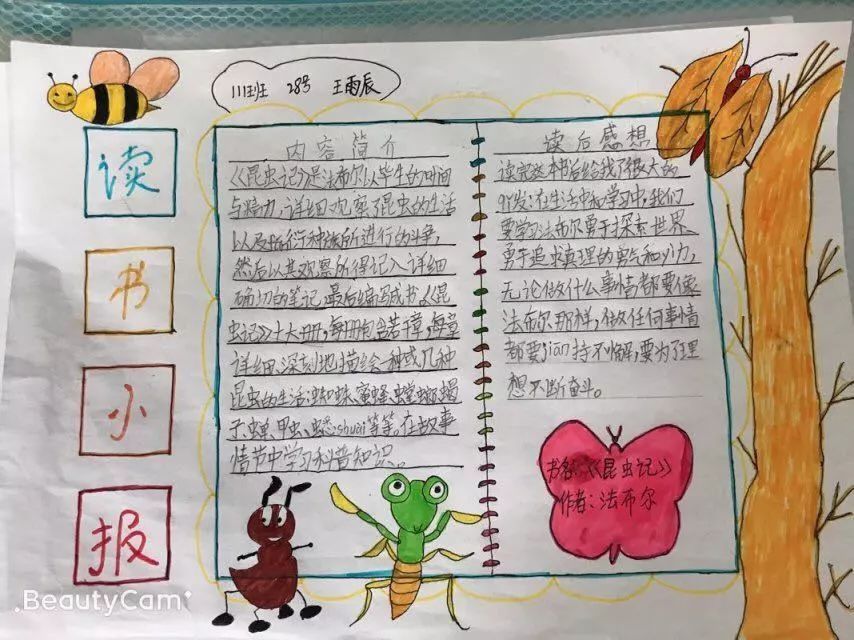 品味翰墨文香，记录阅读时光——丁荷111班阅读小报