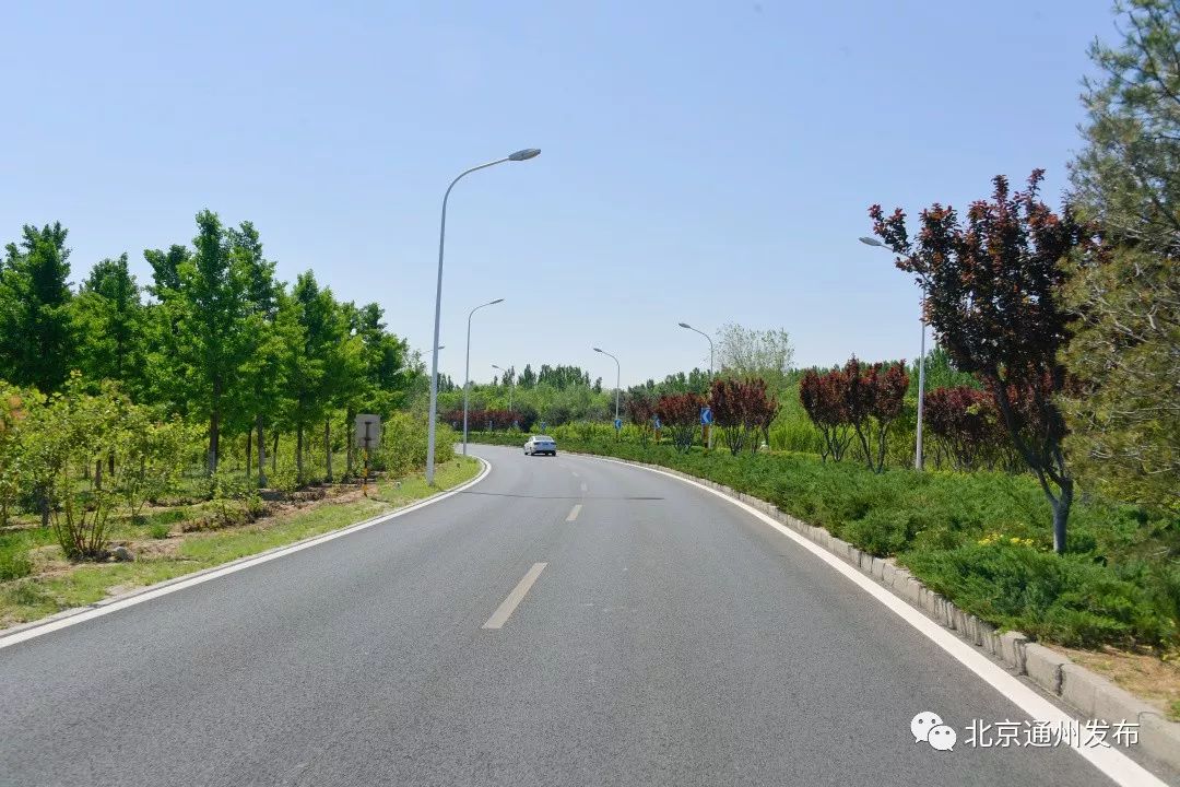 最美赛道来啦！在花香中奔跑！通州运河半马沿途美景抢先看~