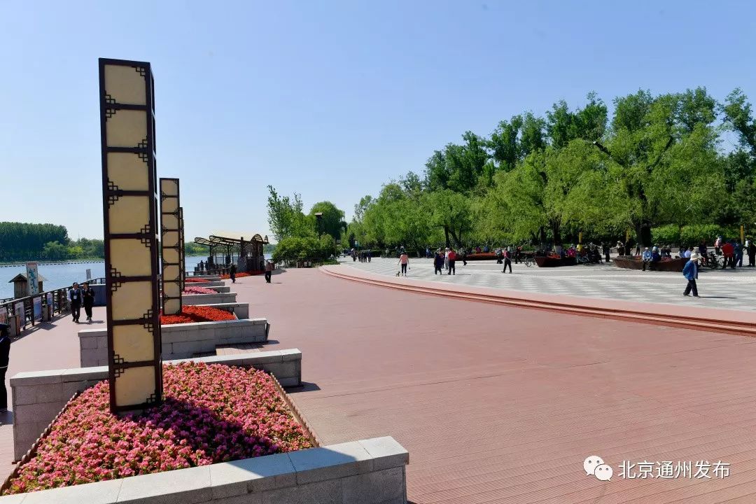 最美赛道来啦！在花香中奔跑！通州运河半马沿途美景抢先看~