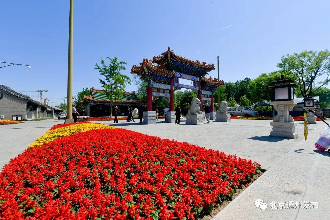 最美赛道来啦！在花香中奔跑！通州运河半马沿途美景抢先看~