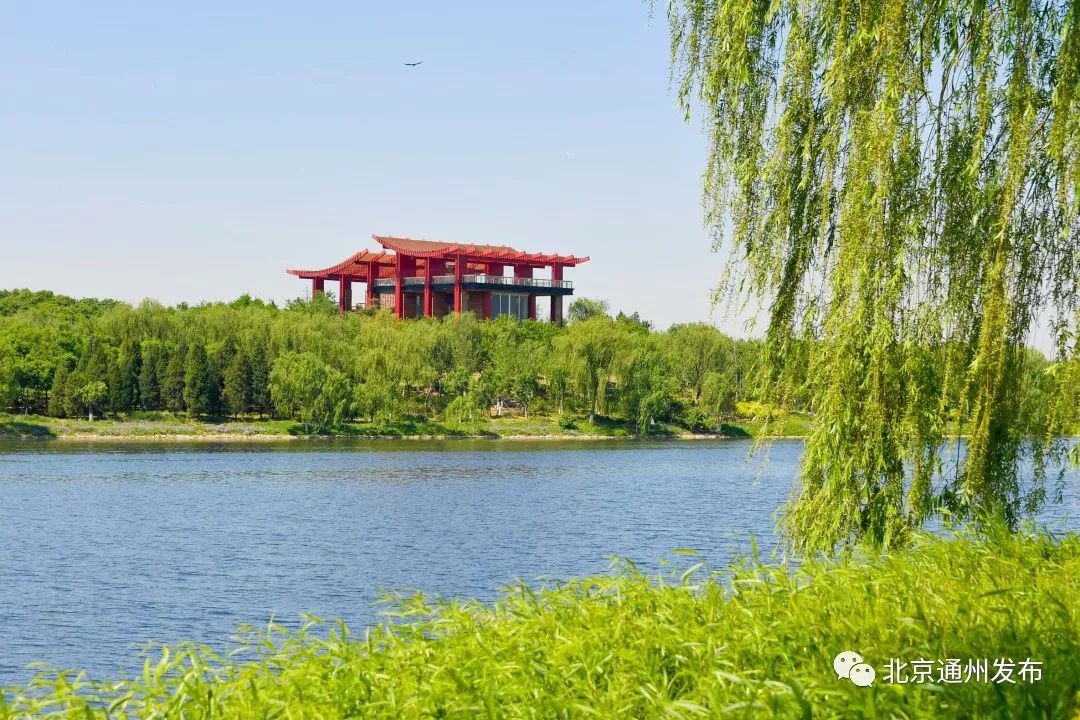 最美赛道来啦！在花香中奔跑！通州运河半马沿途美景抢先看~