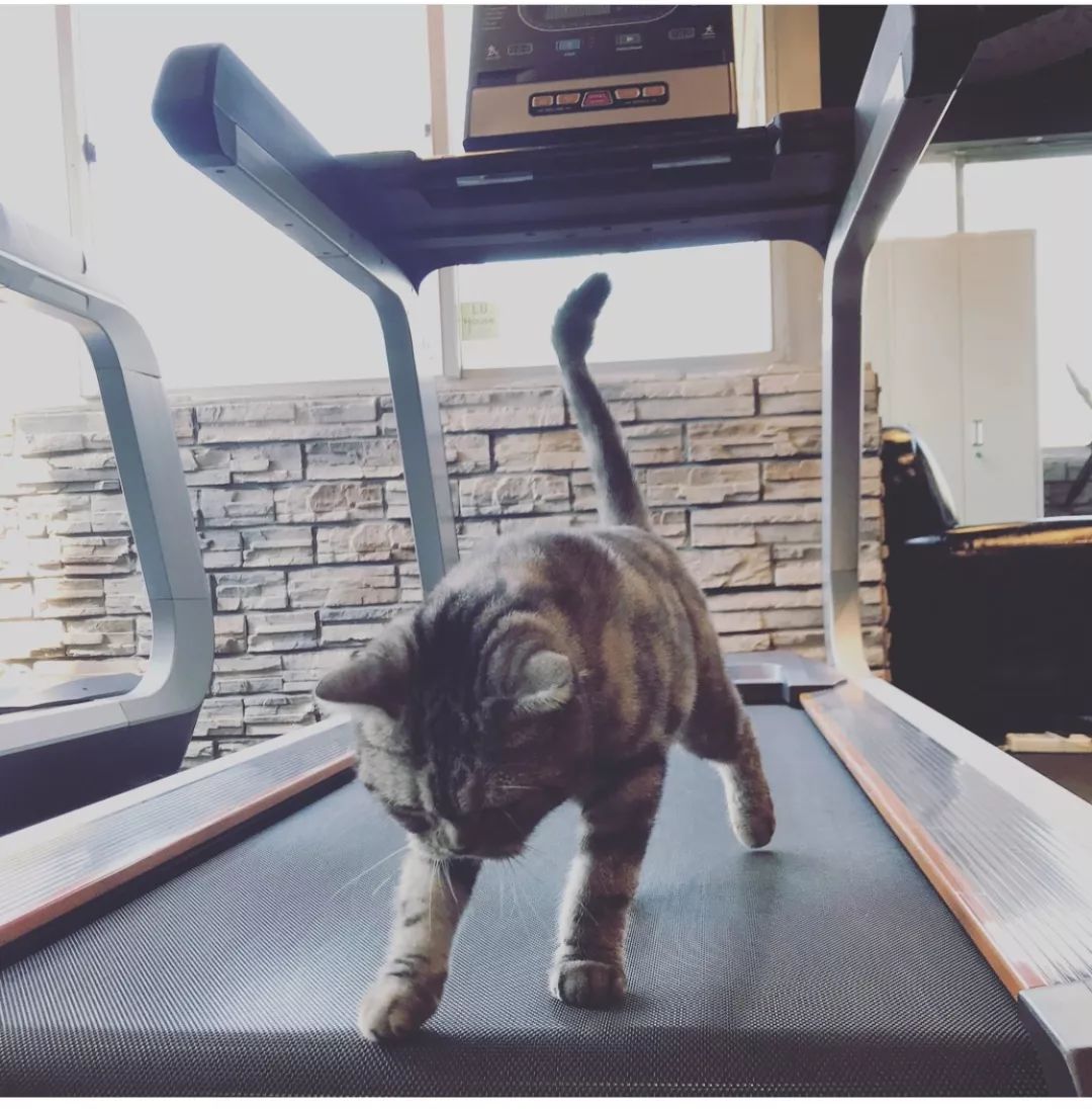 葵式生活|中招买了就后悔系列？不如一起开个“除草公司”~