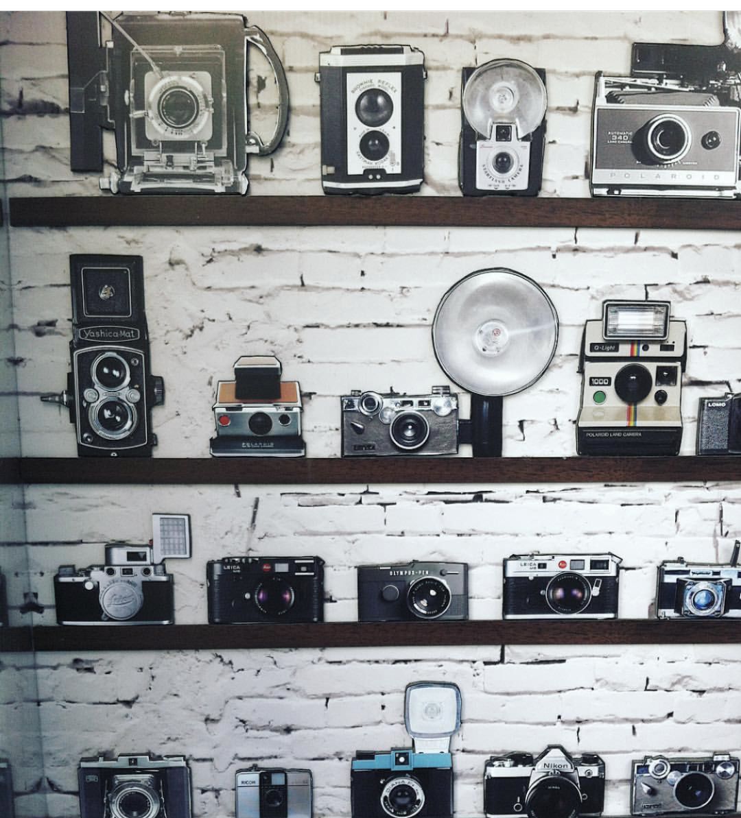 葵式生活|中招买了就后悔系列？不如一起开个“除草公司”~