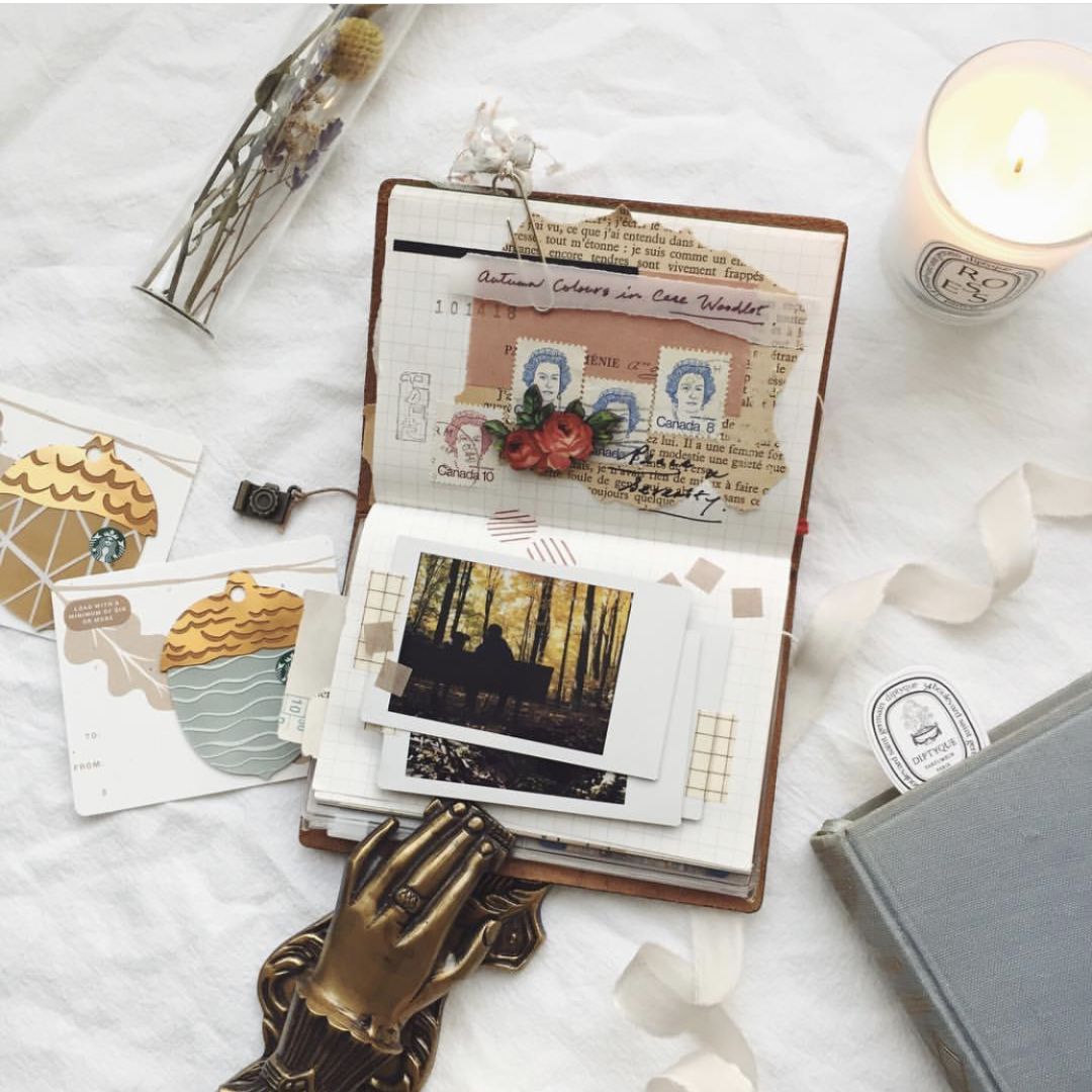 葵式生活|中招买了就后悔系列？不如一起开个“除草公司”~