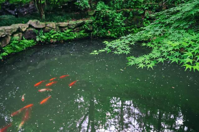 二刷是什么样子,二刷的最好时间