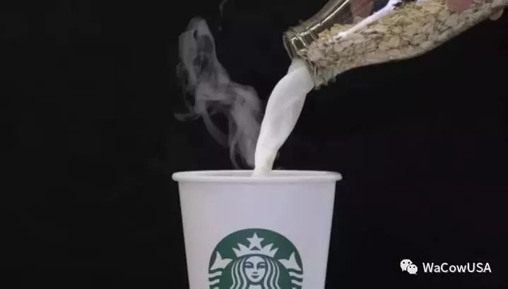 燕麦奶咖啡怎么火的,星巴克为什么喜欢燕麦奶