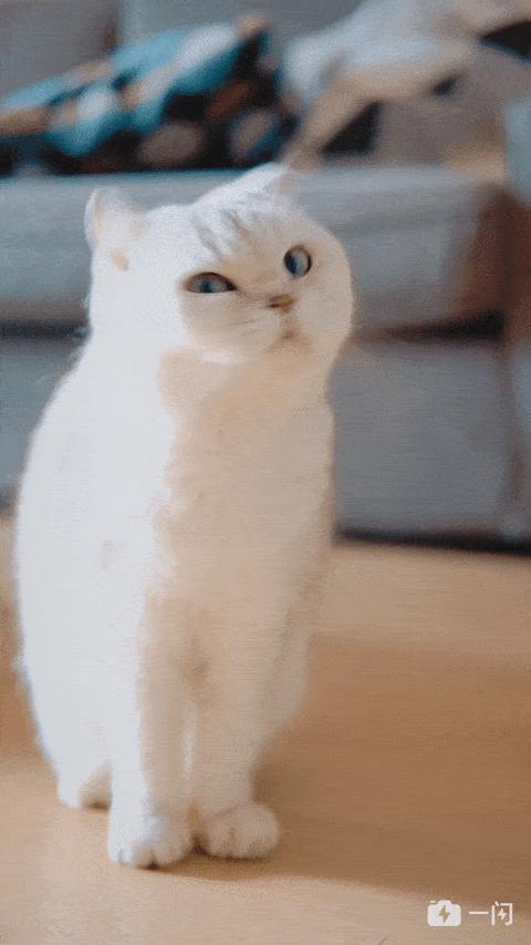 手机相机如何拍出慢镜头,华为手机怎么拍慢镜头的视频