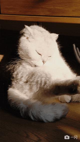 手机相机如何拍出慢镜头,华为手机怎么拍慢镜头的视频