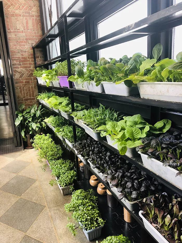 采访奶茶店老板采访稿,采访奶茶店老板应该问些什么问题