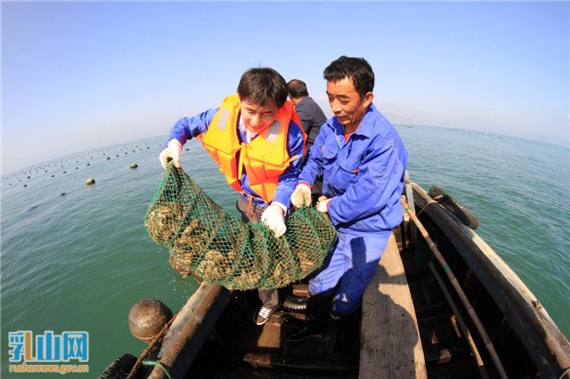 乳山生蚝宴,乳山蚝王府小青岛牡蛎