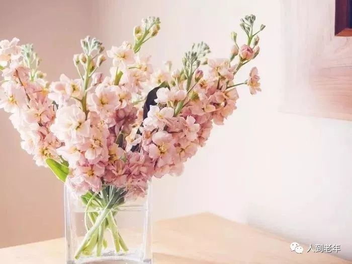 中国民歌经典100首云南民歌,最好听的30首民歌