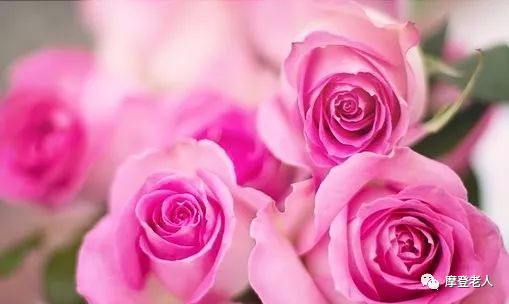 中国民歌经典100首云南民歌,最好听的30首民歌