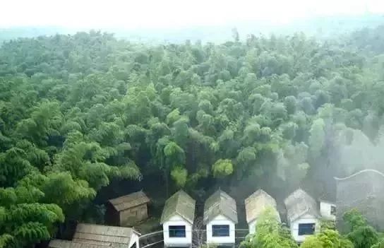 中国民歌经典100首云南民歌,最好听的30首民歌