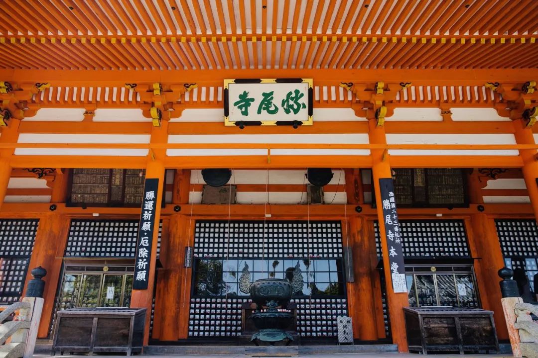 大阪|你错过了这座带仙气儿的寺庙,以及跳蚤市场和潮牌一条街…