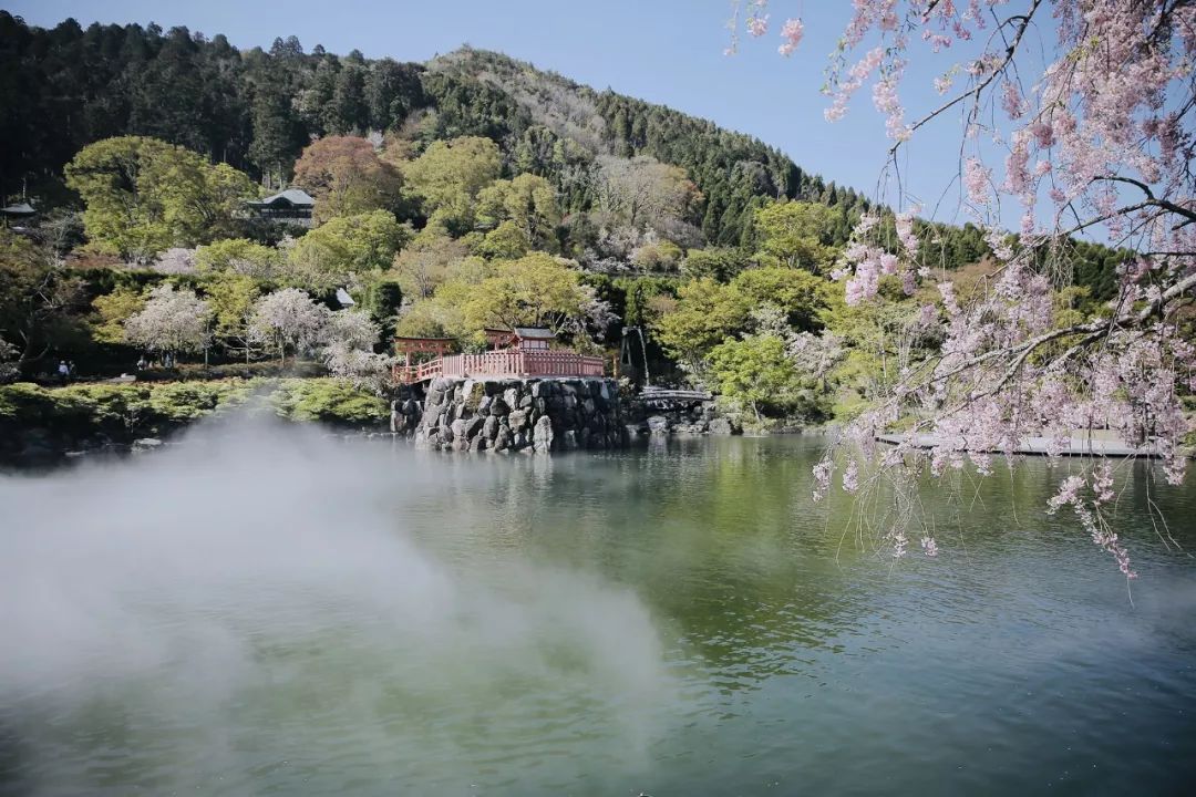 大阪｜你错过了这座带仙气儿的寺庙，以及跳蚤市场和潮牌一条街…
