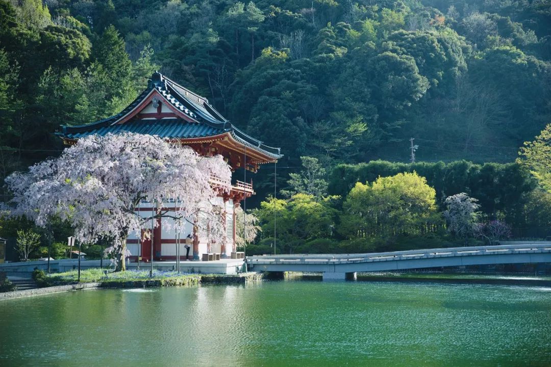 大阪|你错过了这座带仙气儿的寺庙,以及跳蚤市场和潮牌一条街…