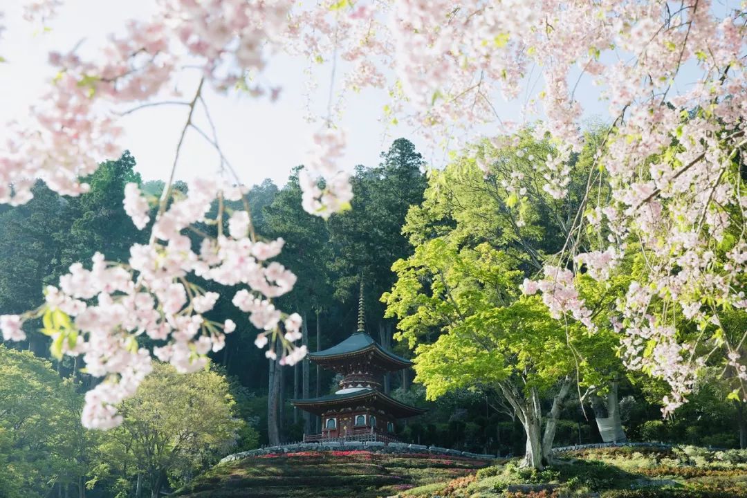 大阪｜你错过了这座带仙气儿的寺庙，以及跳蚤市场和潮牌一条街…